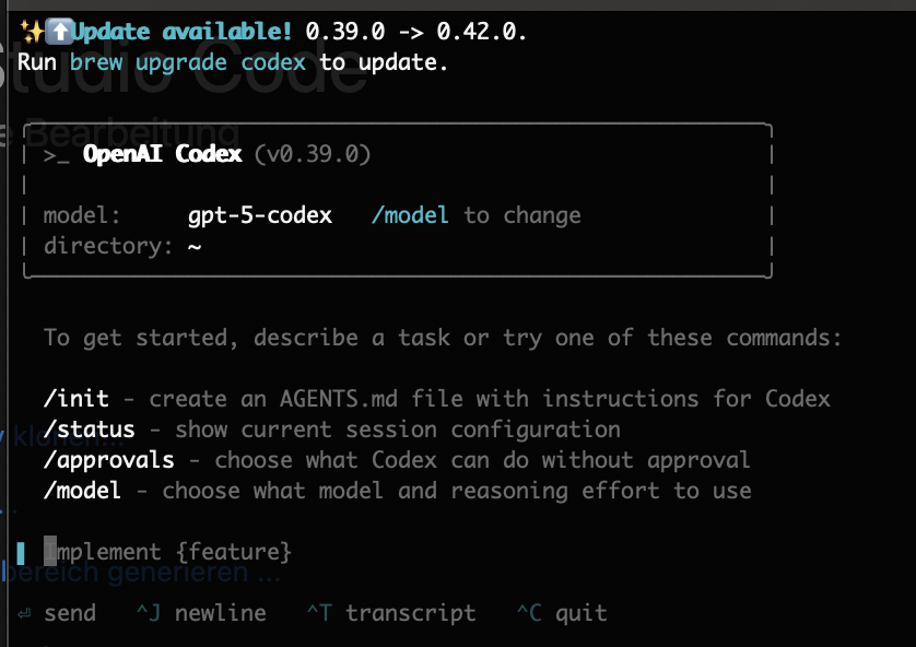 Codex CLI mit GPT-OSS Profil
